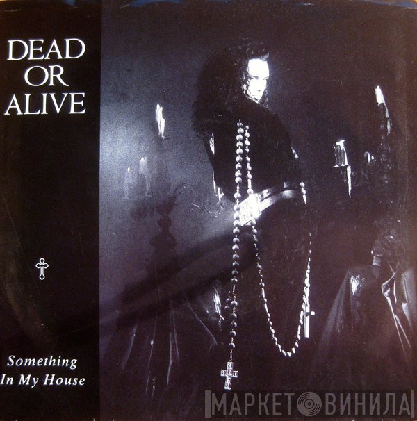 Dead Or Alive  - Something In My House