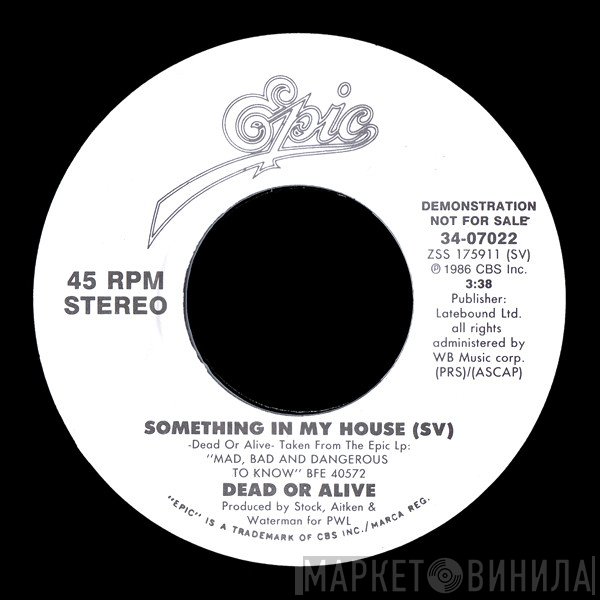 Dead Or Alive - Something In My House