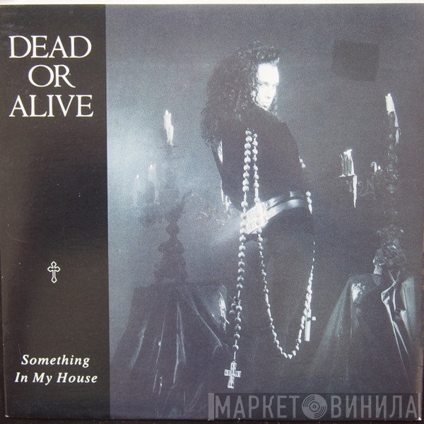 Dead Or Alive  - Something In My House