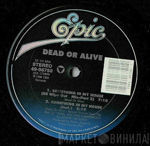 Dead Or Alive  - Something In My House