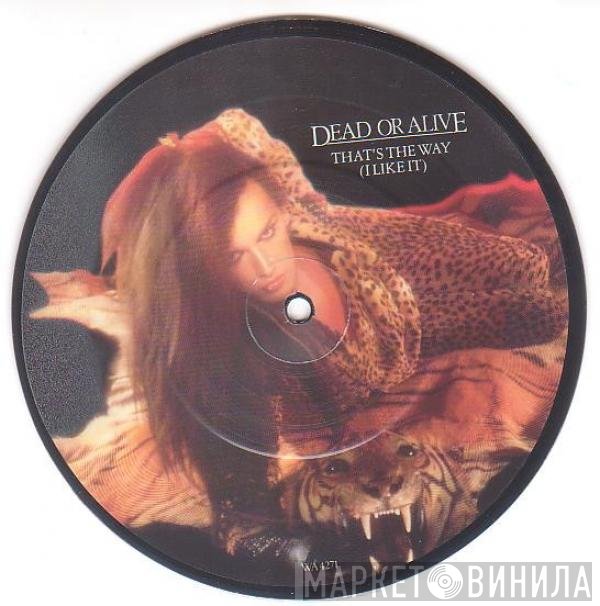 Dead Or Alive - That's The Way (I Like It)