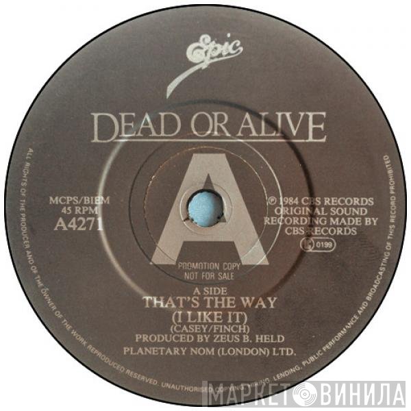 Dead Or Alive - That's The Way (I Like It)
