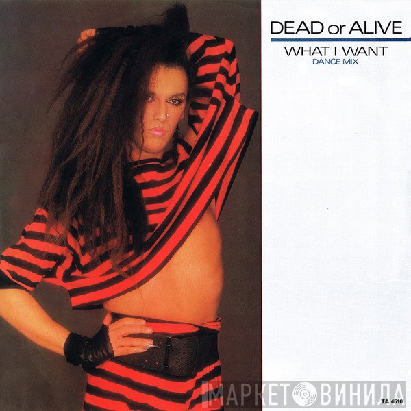 Dead Or Alive - What I Want (Dance Mix)