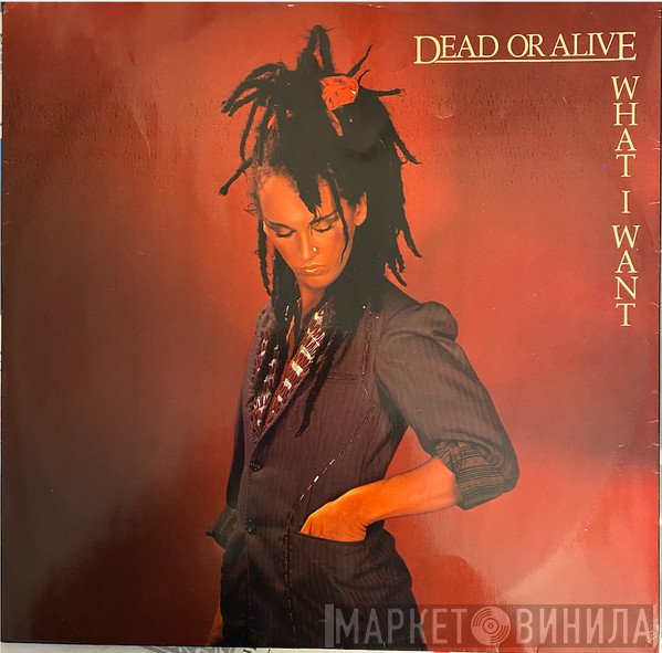 Dead Or Alive - What I Want
