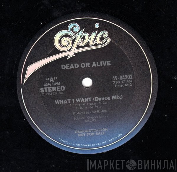 Dead Or Alive - What I Want