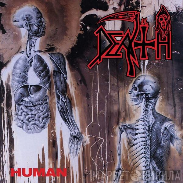 Death   - Human