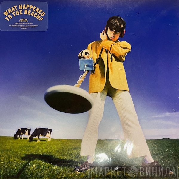 Declan McKenna - What Happened To The Beach?