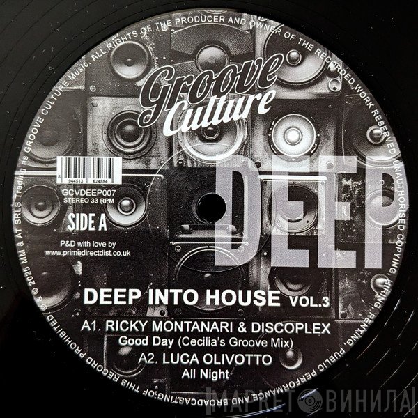  - Deep Into House Vol.3