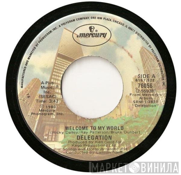 Delegation  - Welcome To My World