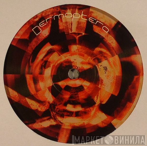 Dermaptera - Dermaptera 5