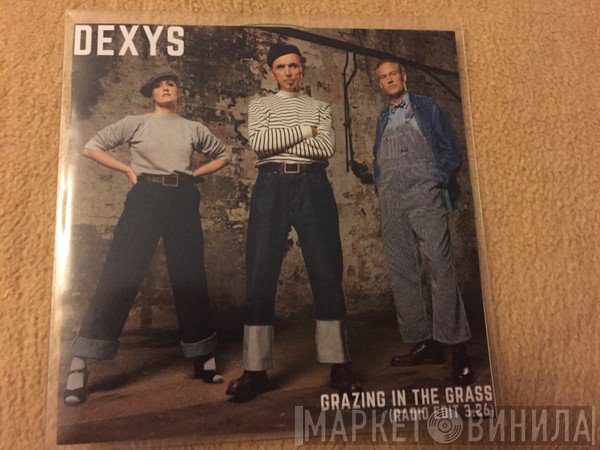 Dexys Midnight Runners  - Grazing In The Grass