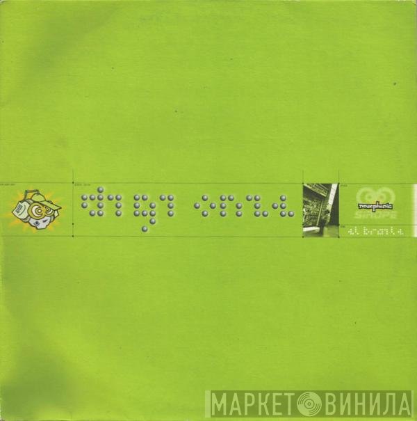 Digi Onze - El Braile