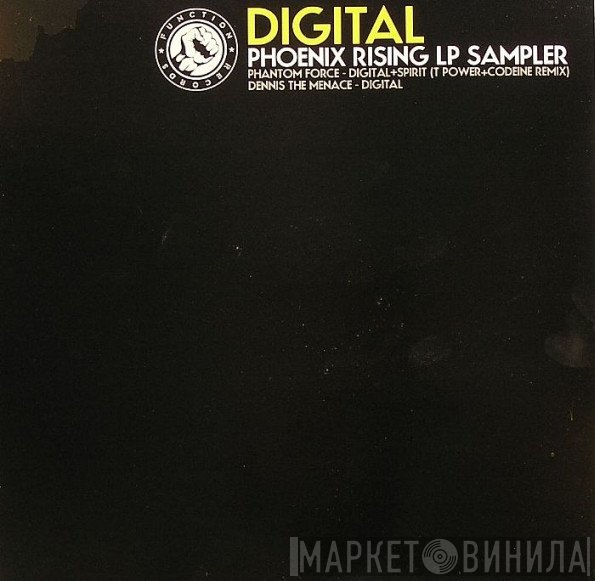 Digital & Spirit / Digital  - Phoenix Rising LP Sampler