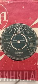 Dino  - Now I Know