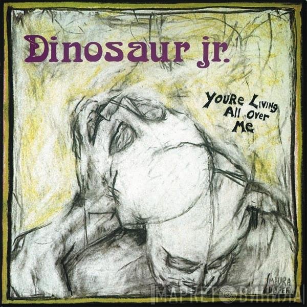 Dinosaur Jr. - You're Living All Over Me