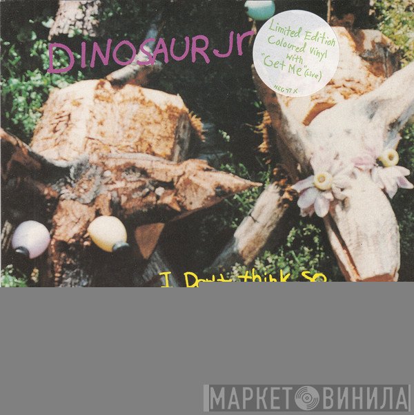 Dinosaur Jr. - I Don't Think So