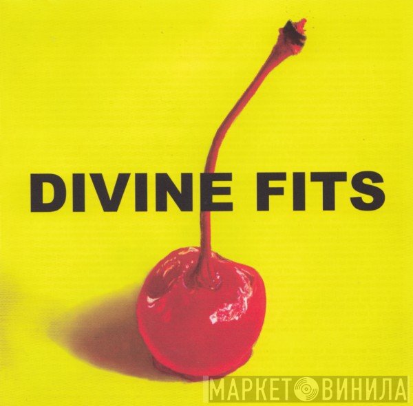 Divine Fits - A Thing Called Divine Fits