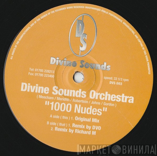 Divine Sounds Orchestra - 1000 Nudes