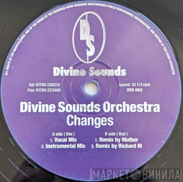 Divine Sounds Orchestra - Changes