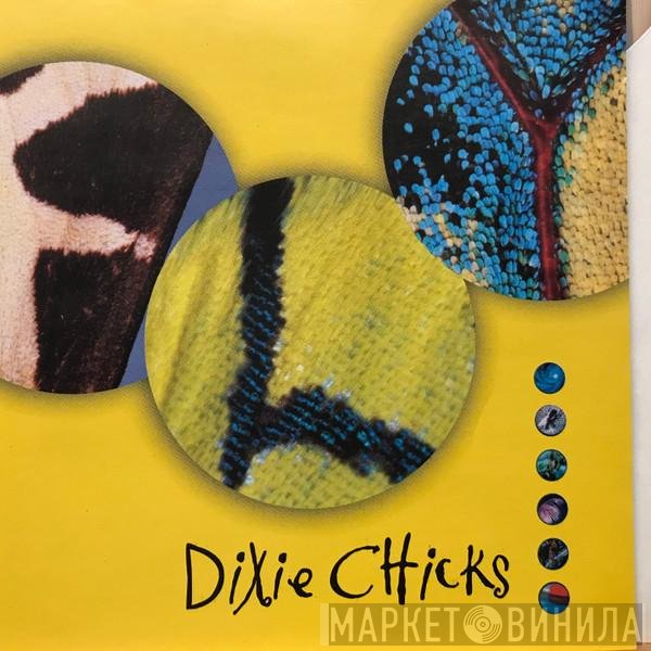 Dixie Chicks  - Fly