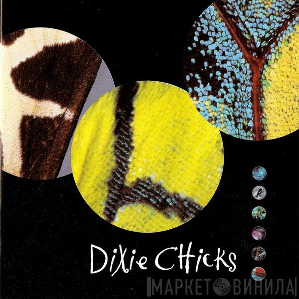 Dixie Chicks - Fly
