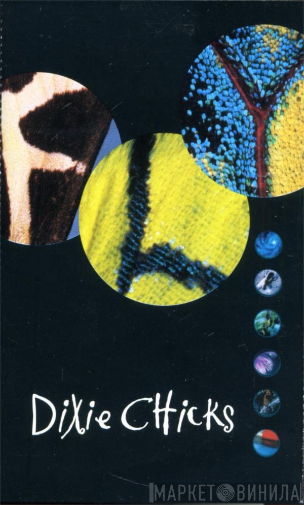 Dixie Chicks  - Fly
