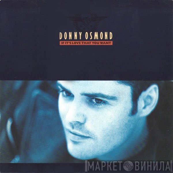 Donny Osmond - If It's Love That You Want