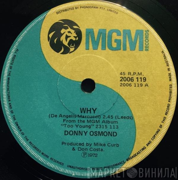 Donny Osmond  - Why