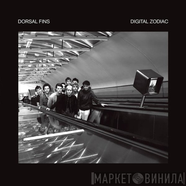 Dorsal Fins - Digital Zodiac