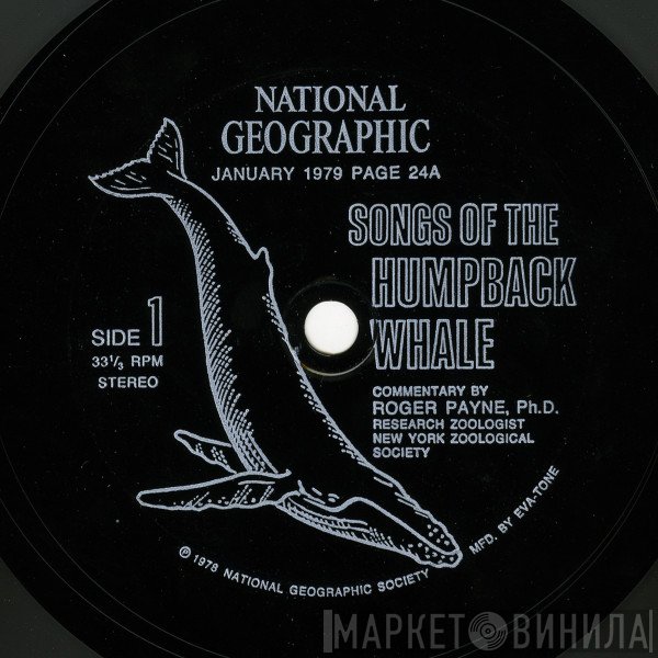 Dr. Roger S. Payne, Humpback Whale - Songs Of The Humpback Whale