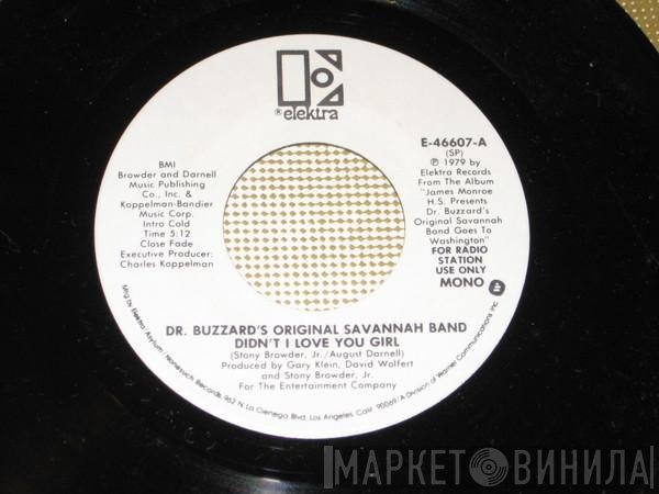 Dr. Buzzard's Original Savannah Band - Didn't I Love You Girl