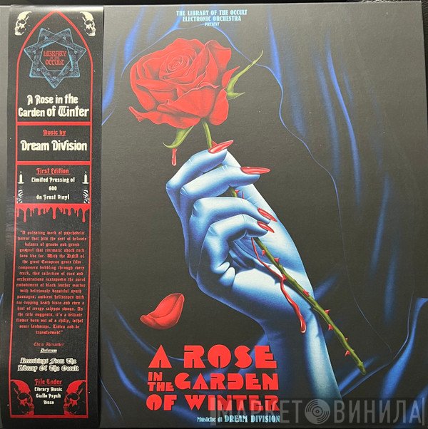 Dream Division - A Rose In The Garden Of Winter