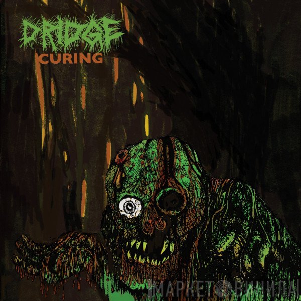 Dridge - Curing