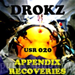 Drokz  - Appendix Recoveries