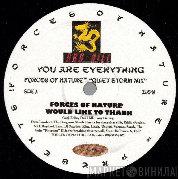 Dru Hill, Forces Of Nature  - You Are Everything