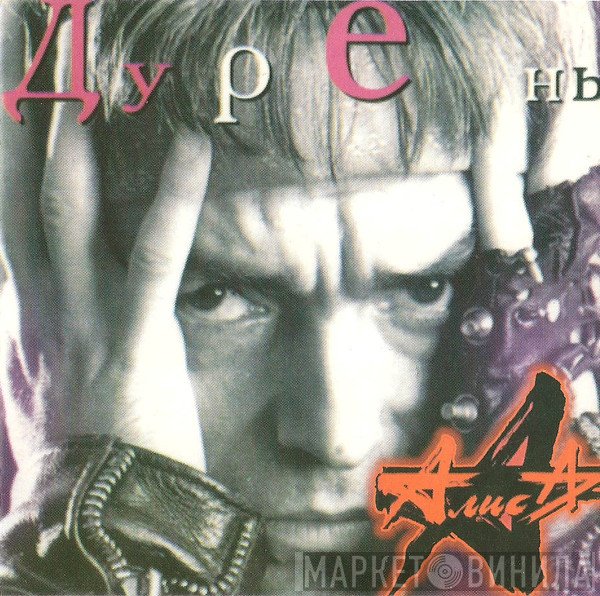 Алиса  - Дурень