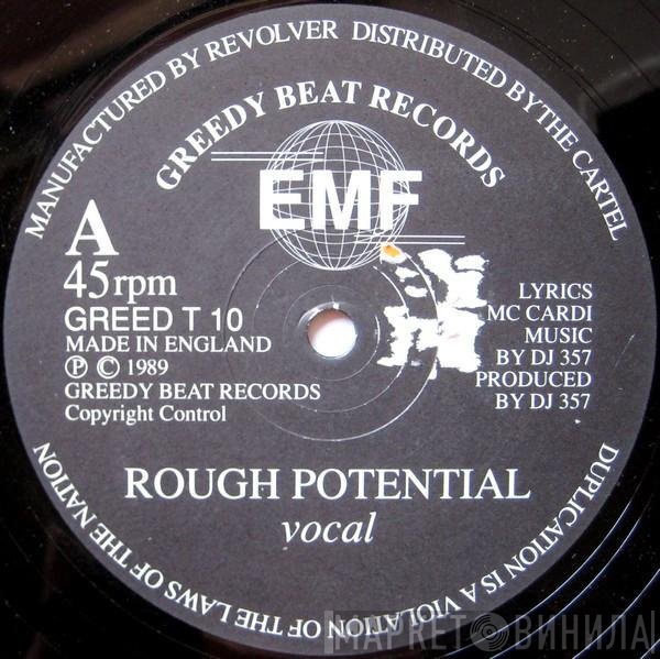 EMF  - Rough Potential