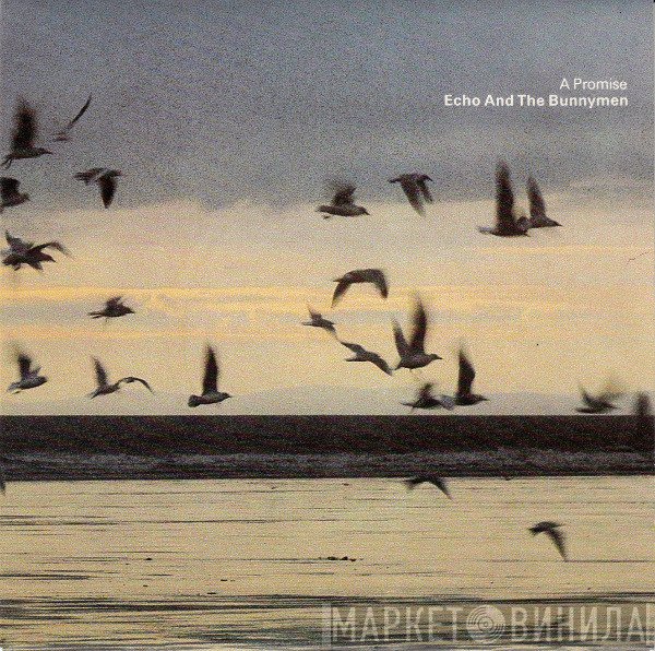 Echo & The Bunnymen  - A Promise
