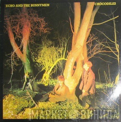 Echo & The Bunnymen - Crocodiles
