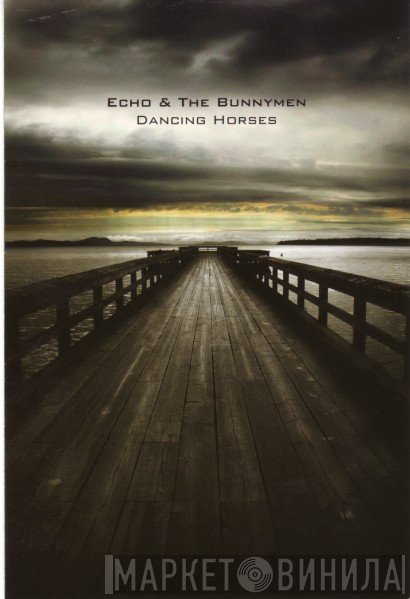 Echo & The Bunnymen  - Dancing Horses
