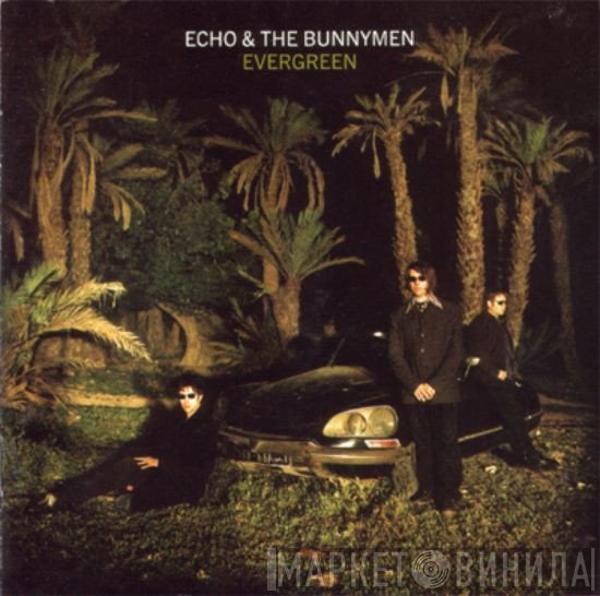 Echo & The Bunnymen - Evergreen