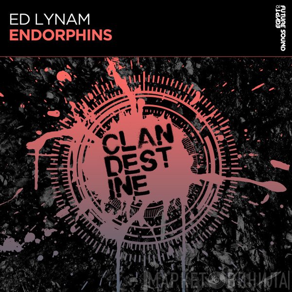 Ed Lynam  - Endorphins