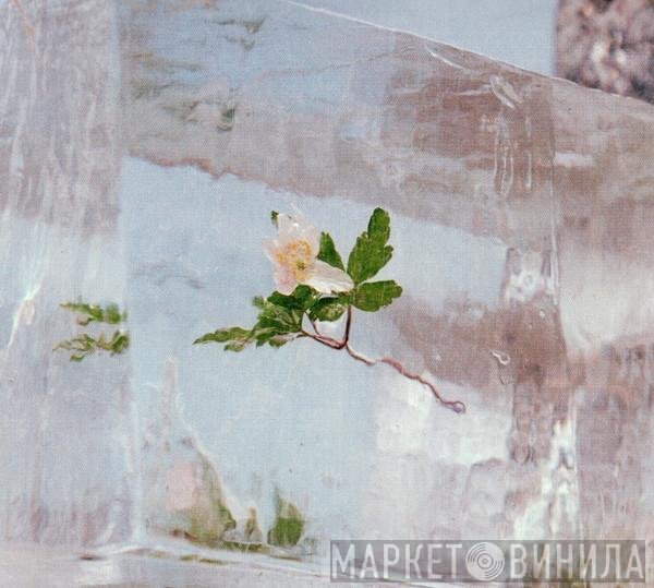 Efterklang  - Windflowers