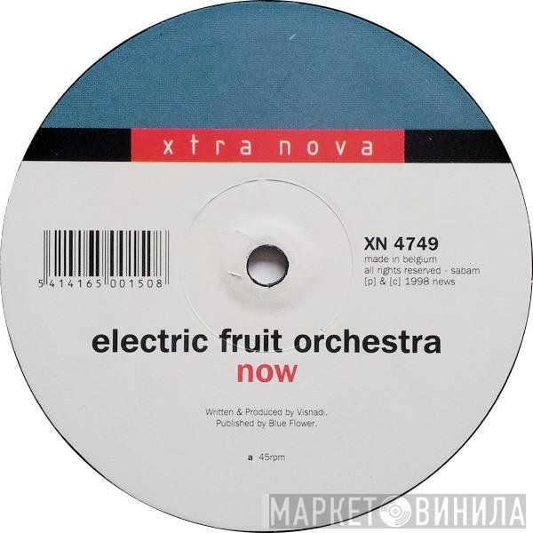 Electric Fruit Orchestra - Now / ... And Then