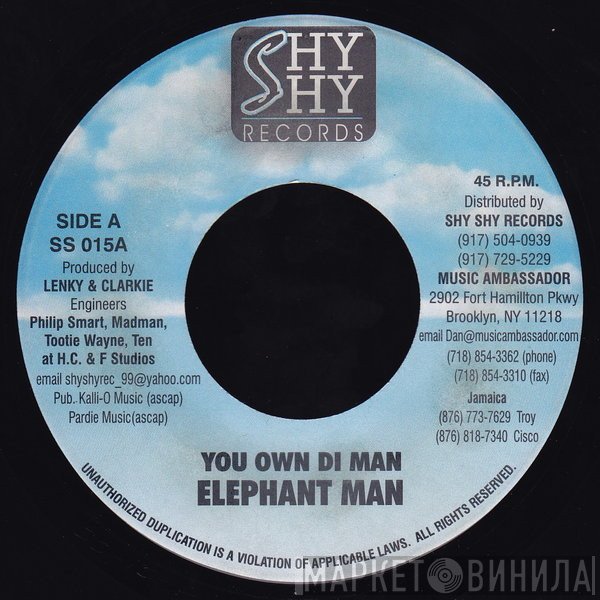 Elephant Man, Zicka P - You Own Di Man / Well Well