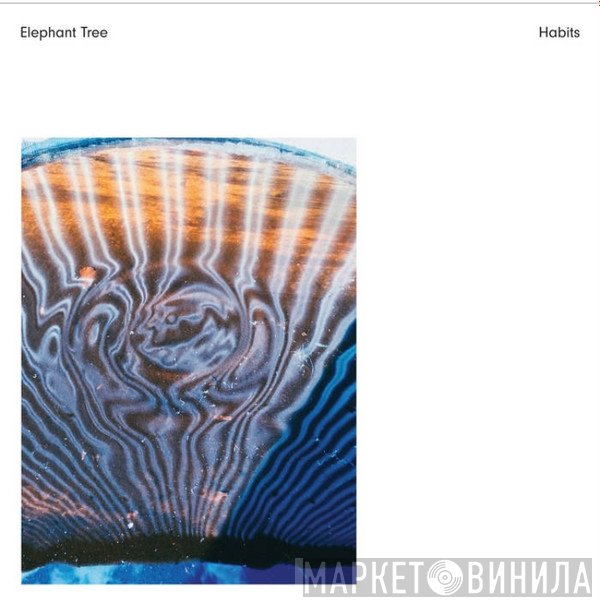 Elephant Tree - Habits 