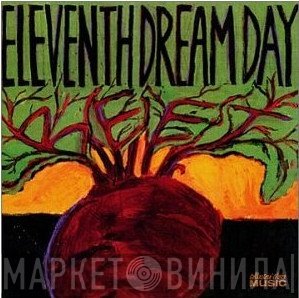 Eleventh Dream Day  - Beet