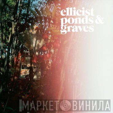 Ellicist  - Point Defects