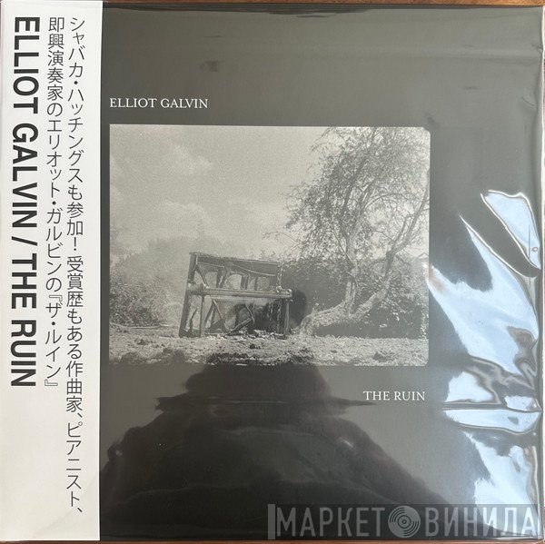 Elliot Galvin - The Ruin