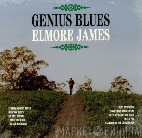 Elmore James  - Genius Blues